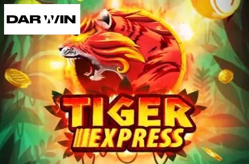 Tiger Bingo Express